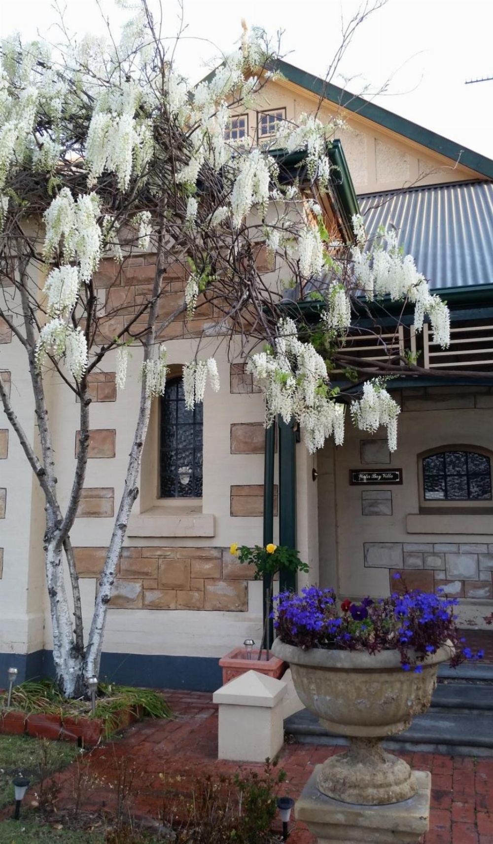 Water Bay Villa Bed & Breakfast Main image