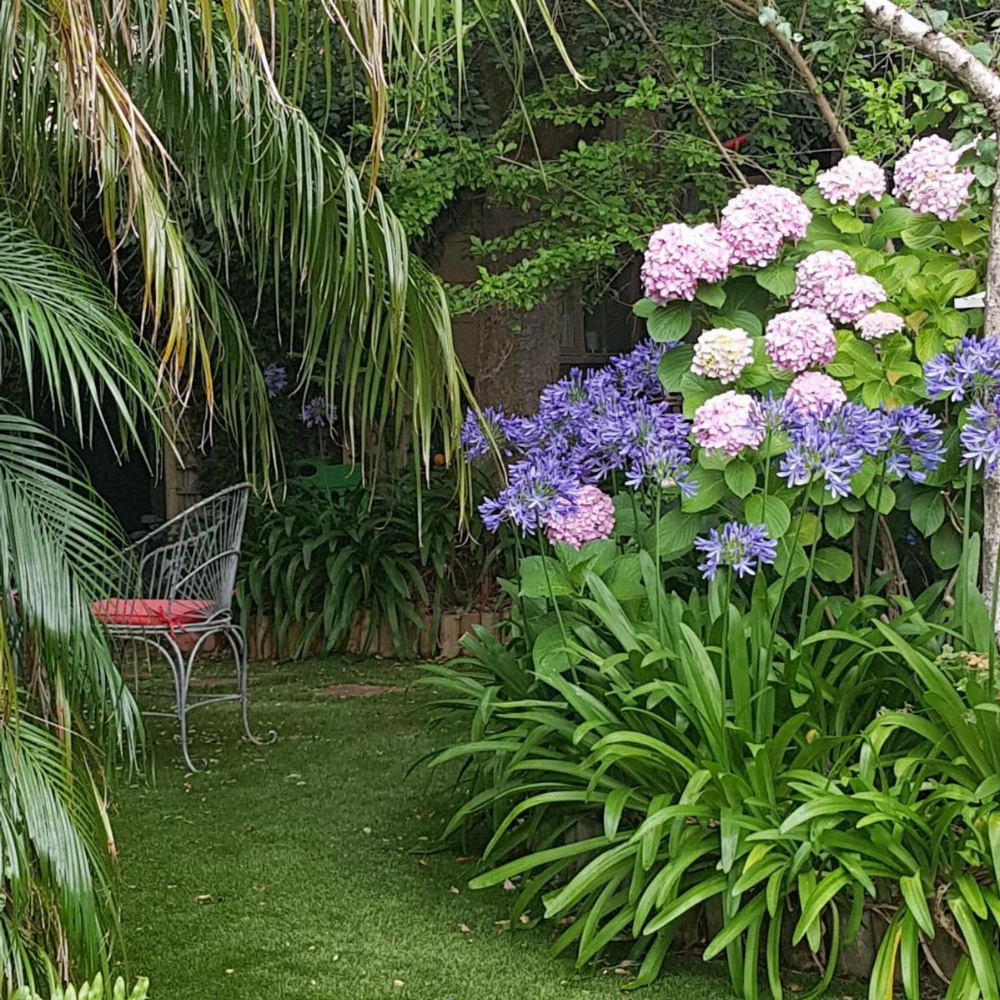 Water Bay Villa Bed & Breakfast Image 47